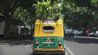 Pengemudi Bajaj Mahender Kumar mengendarai kendaraannya yang memiliki 'taman' di atapnya di New Delhi, India, Senin (2/5/2022). [Money SHARMA / AFP]