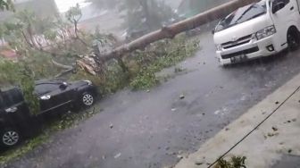 Dua Mobil Tertimpa Pohon saat Hujan Deras di Medan
