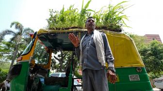 Pengemudi Bajaj Mahender Kumar berdiri disamping kendaraannya yang memiliki 'taman' di atapnya di New Delhi, India, Senin (2/5/2022). [Money SHARMA / AFP]
