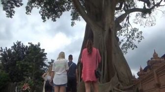 Pengakuan Pengelola Soal Bule Telanjang di Pohon Kayu Putih Keramat