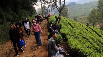 Wisatawan menikmati suasana alam Agrowisata Kebun Teh, Warpat, Puncak Pass, Kabupaten Bogor, Jawa Barat, Sabtu (7/5/2022).  ANTARA FOTO/Yulius Satria Wijaya