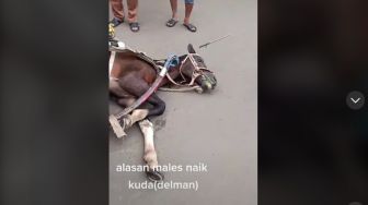 Kasian, Kuda Delman Kelelahan dan Terkapar di Pinggir Jalan, Warganet: Seperti Menangis