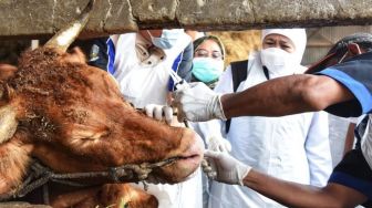 Cegah PMK, Pemkot Bandung Libatkan Polisi untuk Awasi Jalur Distribusi Hewan Ternak