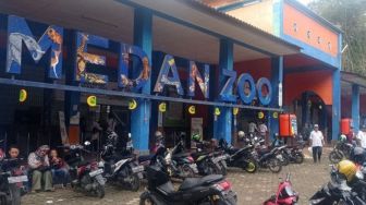 20 Hektare Lahan Belum Terkelola, Medan Zoo Butuh Investor untuk Kebun Binatang