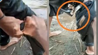 Ular Masuk Celana Pria saat Main di Sungai, Netizen Sebut Masa Depannya Terancam
