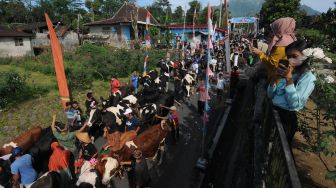 Warga membawa hewan ternak sapi saat mengikuti kirab Tradisi Lebaran Sapi di lereng Gunung Merapi, Mlambong, Sruni, Musuk, Boyolali, Jawa Tengah, Senin (9/5/2022). [ANTARA FOTO/Aloysius Jarot Nugroho/rwa]