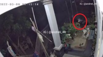 Terekam CCTV, Maling Ternak bikin Ribut Seisi Kandang sampai Kejar-kejaran dengan Ayam, Publik Bingungkan Hal ini