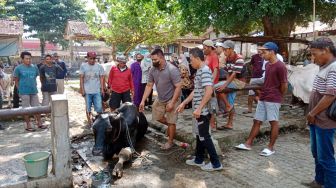 Duh, Tiga Ekor Sapi Perah Terindikasi Memiliki Penyakit Mulut dan Kaki di Pasar Hewan Ajibarang Banyumas