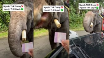 Wisatawan Berikan THR ke Gajah, Publik: Pinter Banget Bisa Bedain Duit sama Makanan