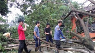 Diguyur Hujan Deras, Pohon Besar di Rangkasbitung Lebak Tumbang