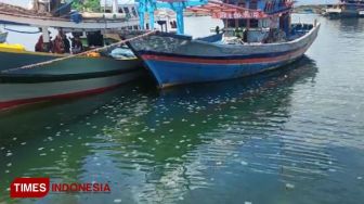 Jutaan Ubur-ubur Muncul di Perairan Probolinggo, Bikin Nelayan Pusing karena Hasil Tangkapan ikut Berkurang
