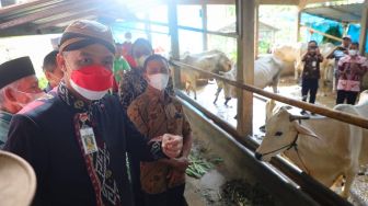 PMK Terdeteksi di Empat Daerah di Jawa Tengah, Ganjar: Bisa Diobati, Tidak Usah Panik