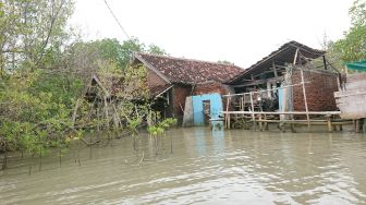 Warga Tambaklorok Semarang Keluhkan Air Rob Masuk Rumah Setiap Hari