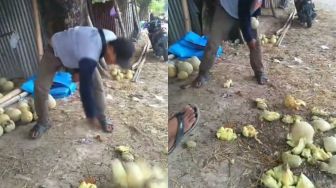 Diduga Dagangannya Tak Laku, Aksi Pria Banting Buah-buahan di Pinggir Jalan Jadi Sorotan