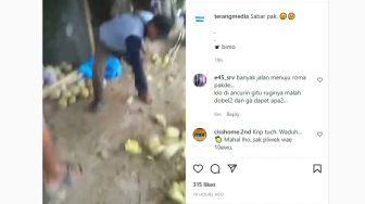 Viral Video Pria Hancurkan Buah Melon Dagangan Diduga karena Tak Laku