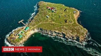 Mengapa Rusia Ngotot Rebut Pulau Ular dan Ukraina Gigih Mempertahankannya?