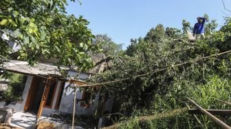 Warga melihat rumah yang tertimpa pohon akibat angin kencang di Bedahan, Depok, Jawa Barat, Senin (16/5/2022). ANTARA FOTO/Asprilla Dwi Adha