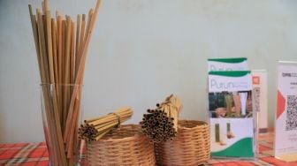 Klaster Usaha Binaan BRI Purun Eco-Straw Dapat Apresiasi di Sidang Umum PBB
