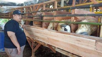 Wabah PMK Jadi Ujian Besar Bagi peternak Hewan di Pandeglang, Pemerintah Diminta Setop Hewan Ternak dari Luar Daerah