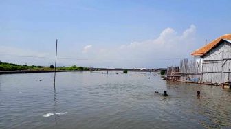 Permukiman Kalibuntu Probolinggo Terendam Banjir Rob, Sebanyak 6.000 Jiwa Terdampak