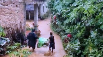 Banjir Menerjang Desa Wonosidi Pacitan, BPBD Evakuasi Warga Terdampak