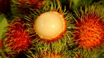 5 Manfaat Rambutan untuk Kesehatan, Juga dapat Menurunkan Berat Badan!