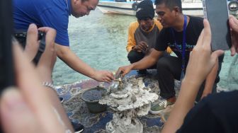 Cinta Laut, LPDP Lakukan Transplantasi Karang dan Pemberdayaan Masyarakat di Kepulauan Seribu