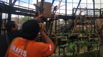 Usut Kasus Pencurian Burung Senilai Ratusan Juta di Wisata Lembang Park and Zoo, Polisi Periksa Puluhan CCTV dan Saksi