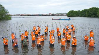 PKT Tanam 1.500 Bibit Mangrove di Perairan Bontang