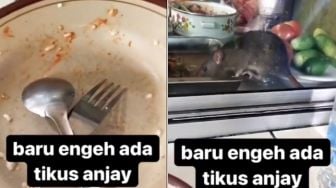 Baru Selesai Makan di Warteg, Warganet Kaget Tikus Ikut Nyeruput Kuah Sayur di Depannya