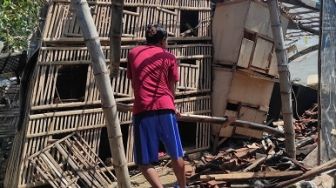 Banjir Rob Robohkan Kandang Ayam Petarung di Tuban, Peternak Rugi Rp10 Juta