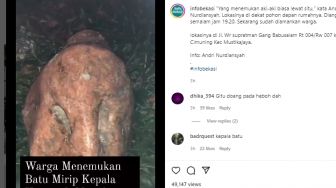 Viral Batu Berbentuk Mirip Kepala Manusia Bikin Heboh Warga, Netizen: Kepala Thanos Itu, Bisa Jadi Saingan Ponari