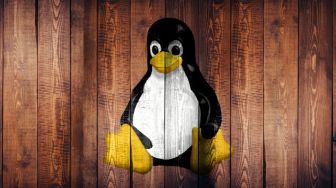 Bos Linux Umumkan Linux 6.0 Segera Tersedia