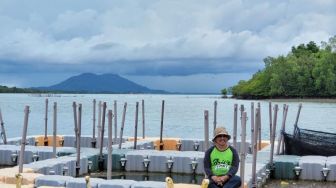 Tertarik Berbisnis, Tim Peneliti Politeknik Singapura Datangi Pembibitan Ikan Kerapu di Bintan