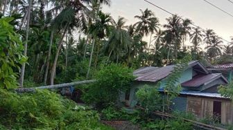 5 Rumah di Simeulue Tertimpa Pohon, Ini Penyebabnya