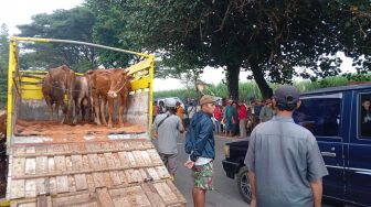 Meskipun 1900 Lebih Sapi Suspek PMK, Bupati Malang Akan Buka Pasar Hewan Ternak: Nanti Kita Anukan..