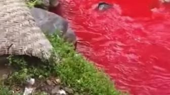 Air Anak Sungai Citarum Berwarna Merah, Butuh Waktu Cukup Lama untuk Mengetahui Penyebabnya
