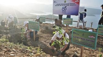 Peringati HUT ke-65, Astra Tanam 65.000 Pohon dan Pasang 65 Solar Panel