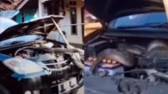 Viral, Pria Ini Temukan Ular Cobra Raksaksa Sembunyi di Dalam Mobilnya