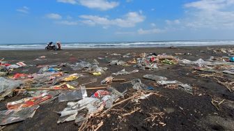 Alarm Bahaya Air Laut Selatan Jawa Tengah, Tahun Ini Siklus Penyu Bertelur Berubah