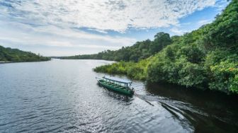 Akibat Cuaca Ekstrem, Ribuan Lumba-lumba di Sungai Amazon Tewas