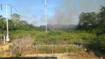 Setengah Hektar Lahan di Bontang Lestari Terbakar, Diduga Sengaja Dibakar oleh Oknum