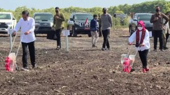 Bikin Penasaran! Ibu Negara Iriana Jokowi Kenakan Sepatu Mewah Untuk Bajak Sawah, Diduga Merek Gucci