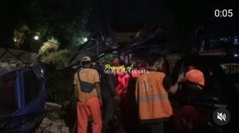 Pohon Tumbang di Setiabudi Imbas Hujan Lebat, Dua Mobil Turut Tertimpa Tembok Roboh