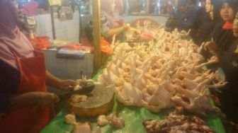 Inflasi di Balikpapan Terjadi, Dipicu Kenaikan Harga Daging Ayam dan Tarif Angkutan Udara