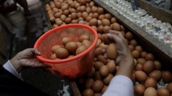 Pembeli memilih telur ayam di salah satu kios di Pasar Minggu, Jakarta, Minggu (5/6/2022). [Suara.com/Angga Budhiyanto]