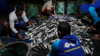 Petambak Lampung Curhat Gagal Panen, Membuat Ekonomi Makin Sulit