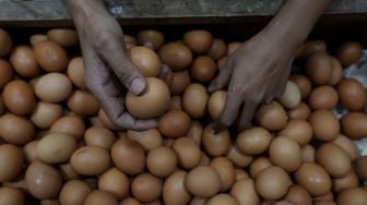 Pedagang menata telur ayam di salah satu kios di Pasar Minggu, Jakarta, Minggu (5/6/2022). [Suara.com/Angga Budhiyanto]