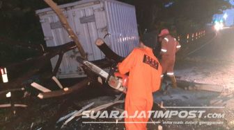 Truk Hantam Pohon hingga Tumbang, Arus Lalu Lintas Situbondo- Probolinggo Sempat Tersendat