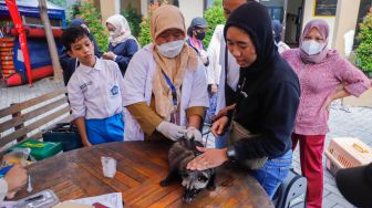 Petugas menyuntikkan vaksin rabies kepada sejumlah hewan peliharaan milik warga di Kantor Kecamatan Duren Sawit, Jakarta Timur, Selasa (7/6/2022). [Suara.com/Alfian Winanto]